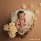 Tripai Triangle | Wooden Tableware | Natural Wood